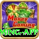 Rumi Slots Game Mega Gaming App